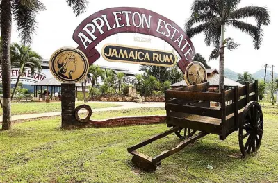 Desde Montego Bay, visita y degustación en destilería Appleton Estate