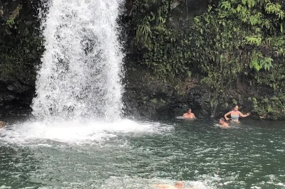 Descubre la famosa road to hana en maui con esta excursión desde kahului. visita cascadas, playas de arena negra, prueba pan de plátano local y observa tortugas marinas. almuerzo y recogida incluido