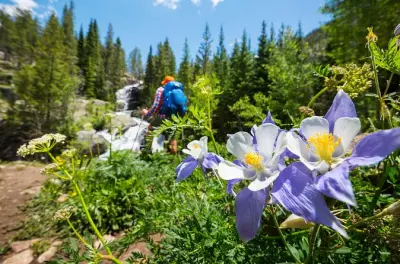 Caminhada guiada em montanhas perto de Breckenridge: Meio dia