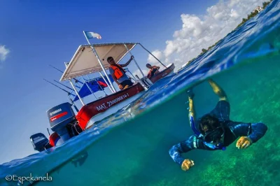 Swim with turtles in akumal’s calm lagoon, guided by locals. includes snorkeling gear, boat ride, and a fruit snack. small group, safety-focused, easy pickup.