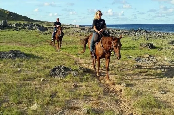Horseback Riding in Aruba: Advanced Riders on the North Coast