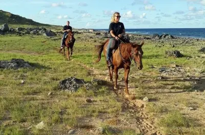 Randonnée équestre à Aruba : Cavaliers avancés sur la côte nord