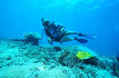 Immersioni subacquee a Nusa Penida: 2 immersioni da Sanur