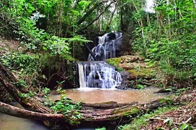 Karura Forest ab Nairobi: Wandern, Radfahren, 350+ Vogelarten