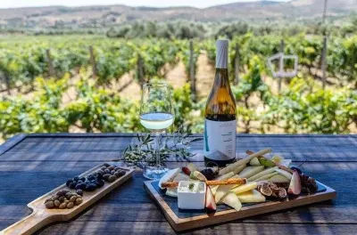 Wine Tasting Tour Crete: 2 Wineries & Traditional Lunch