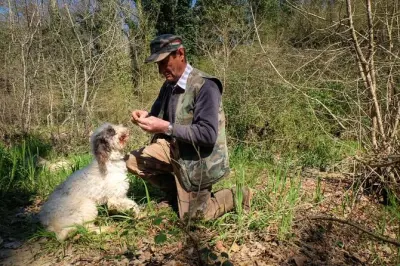 Caça privada de trufas na Toscana: Busca com cães