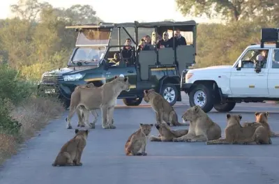 Safari de 3 días en Kruger desde Johannesburgo con safaris incluidos
