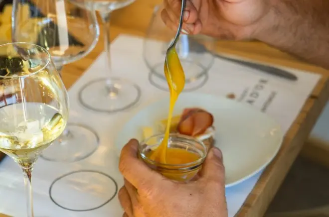 Degustação de vinhos com almoço leve nos vinhedos do vale de Cembra