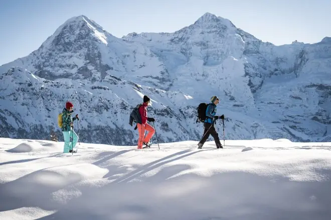 Snowshoe hike Interlaken: 4-hour Swiss Alps adventure