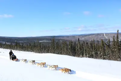 Dog Sledding in Fairbanks: 30-minute Husky Sled Ride