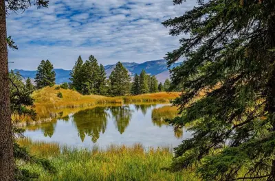 Yellowstone Full Day Private Tour from Jackson with Hiking