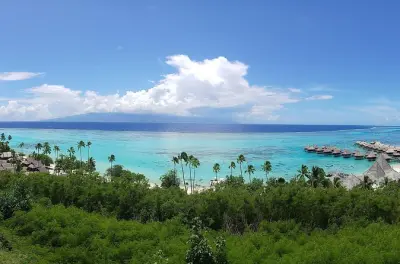 Moorea tour privado: Belvedere, perlas y compras en la isla