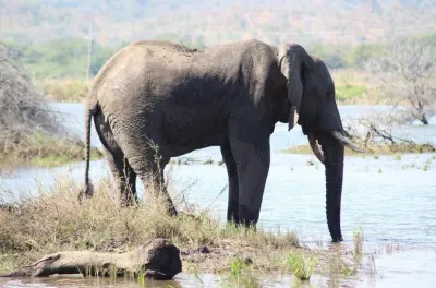 Safari e tour de 8 dias em Malawi: Safáris e relaxamento no lago