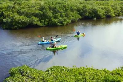 Kayaking Venice, FL: Canals and Private Beach