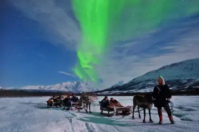Passeio de trenó com rena e aurora boreal em Tromsø