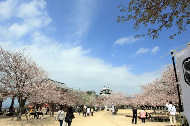 Château de Matsuyama et shopping à Okaido en 2,5 heures