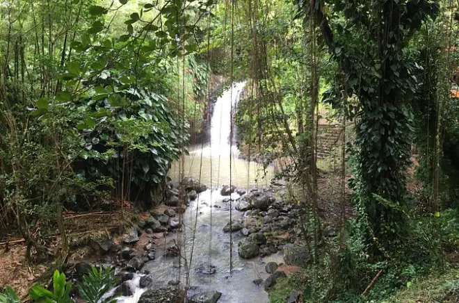 Isla Granada: Plantaciones, ron y baño en la selva tropical