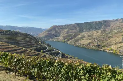Vallée du Douro et Porto depuis Lisbonne : Dégustation de vin et 4 heures libres