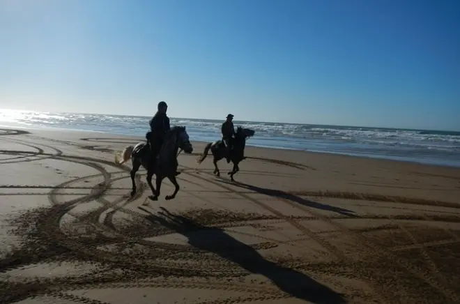 Cabalgata en Essaouira y noche en campamento bereber en la playa