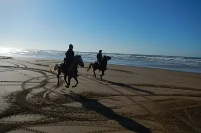 Cabalgata en Essaouira y noche en campamento bereber en la playa