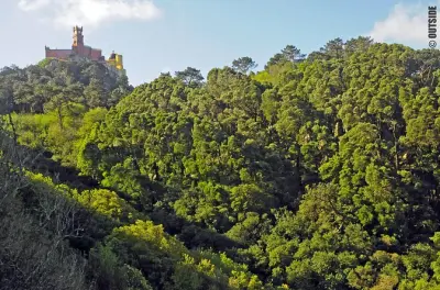 Escalada en Sintra: Rutas de granito en Penedo da Amizade