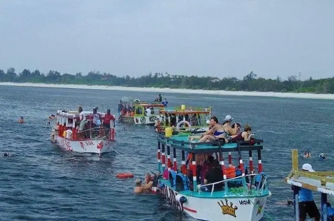 Snorkeling em Malindi com golfinhos e almoço em banco de areia