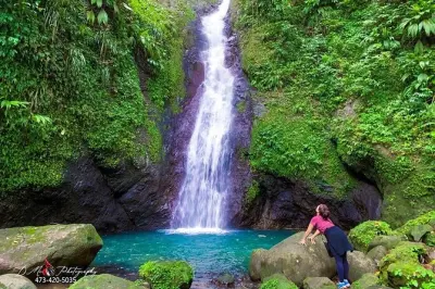Caminata en cascadas Concord con dos saltos y 30 minutos de ruta