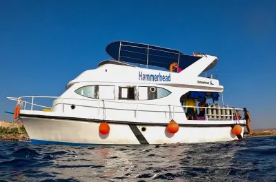 Buceo en Aqaba: 2 inmersiones guiadas en naufragio y arrecife
