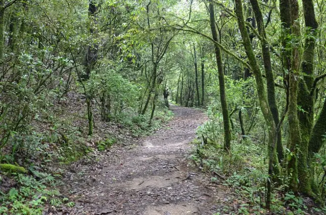 Caminhada de um dia no parque nacional Shivapuri saindo de Kathmandu