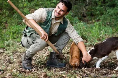 Caça a trufas perto de Siena com vinho e almoço típico toscano