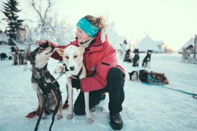 Erlebe in tromsø das abenteuer, dein eigenes huskyschlitten-team zu lenken, wechsle dich mit deinem partner ab und genieße danach hausgemachten kuchen und kaffee im gemütlichen lavvu-zelt.