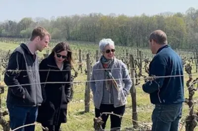 Visites des vignobles de la vallée de la Loire depuis Chinon : Dégustation de 10+ vins