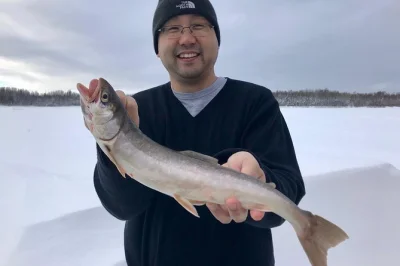 Warm up in a heated cabin near north pole, alaska, while ice fishing with a local guide. grill your catch and enjoy reindeer sausage—includes gear and hot cocoa.