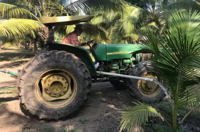 Tour pelo campo de Zihuatanejo: Plantação de coco e fábrica de tijolos