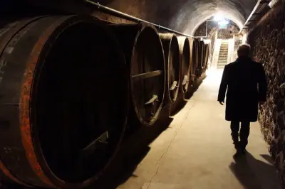 Dégustation en Toscane depuis Civitavecchia : 2 domaines, Morellino