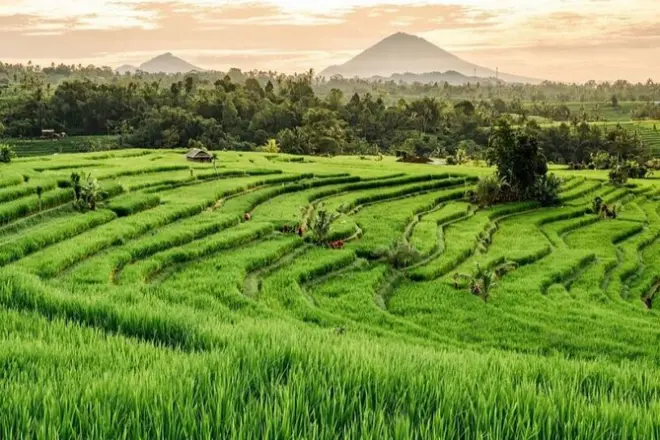 3-tägige Privattour Bali: UNESCO-Tempel & Versteckte Dörfer