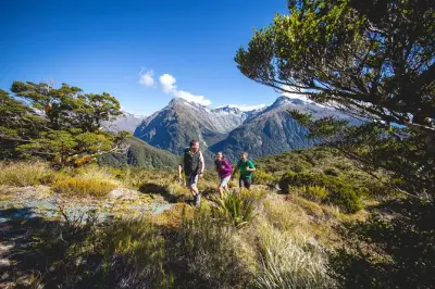 Escursione guidata al Key Summit del Routeburn Track da Te Anau