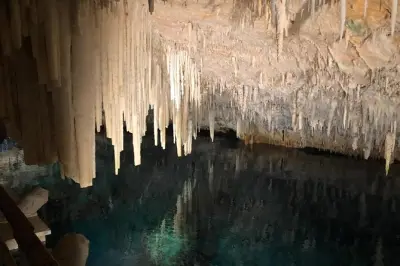 Tour Bermuda Aquarium e Crystal Caves con trasporto