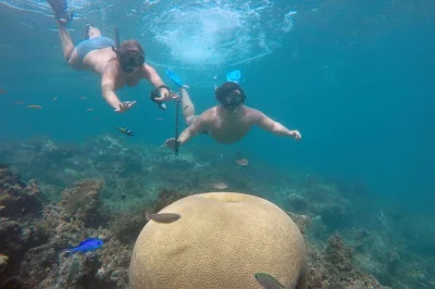 Explore as águas de punta cana com guia local, faça snorkel em recifes coloridos, relaxe em piscinas naturais e saboreie um almoço fresco de frutos do mar em um bar flutuante. inclui transporte.