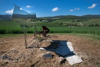 Weinbergwanderung in Montalcino mit Wein- und Käseverkostung