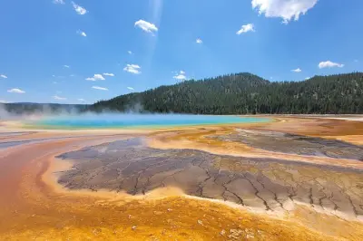 Yellowstone Private Tour: Customize Your Day, Skip the Driving