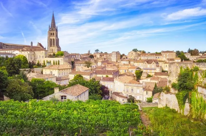 Saint-Emilion Wine Tour Bordeaux: Private Guide, 2 Châteaux