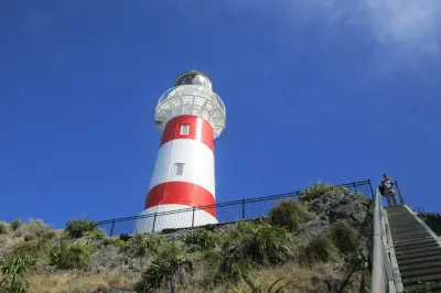 Pinot to Palliser tour: Cape Palliser lighthouse & wine tasting