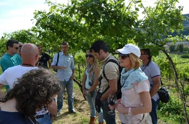 Lake Garda day trip from Verona: Valpolicella wine tasting