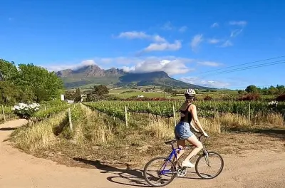 Self-Guided Biking & Wine Tastings in Stellenbosch