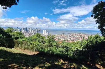 Cerro Ancón Wanderung: Private Führung und Ausblick in Panama City