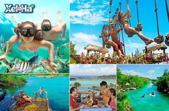 Snorkel em Xel-Há: Rios subterrâneos e vida marinha