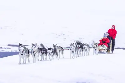 Trenó com huskies na neve perto de Akureyri, Islândia