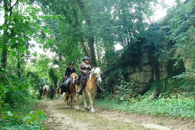 Equitazione nella campagna francese: Non serve esperienza