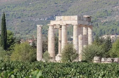 Tour de vinho em Nemea: Prove Agiorgitiko no vale de Nemea